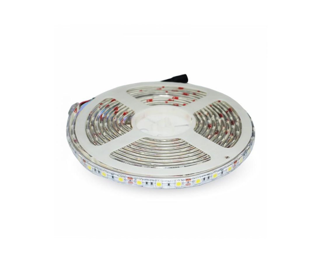 ლედ ლენტი 12V/DC 50X50 6500K 5m roll — LED განათება